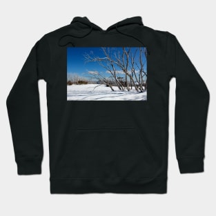 Snow on the mountainside 1 Hoodie